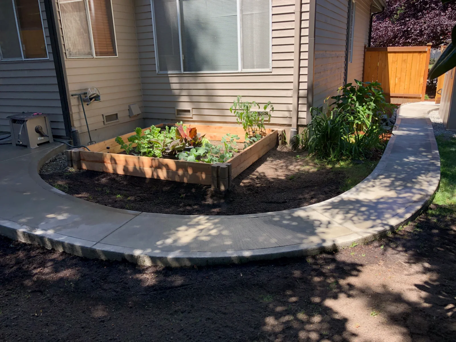 Curved concrete walkway with broom finish around raised wooden garden bed